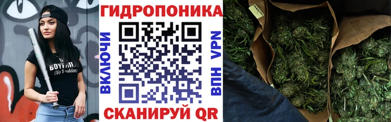 Купить закладку КОКАИН  МЕФ  ГАШ  Канабис  Балей