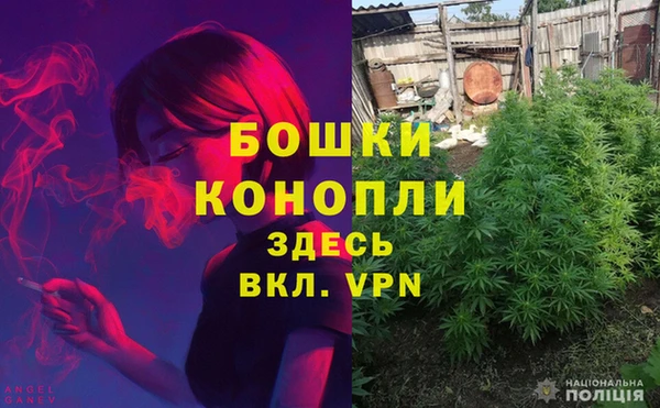мескалин Коряжма