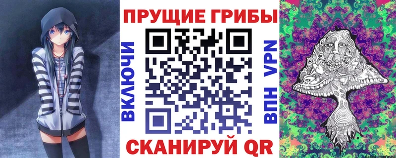 Галлюциногенные грибы MAGIC MUSHROOMS  Купить  Балей 
